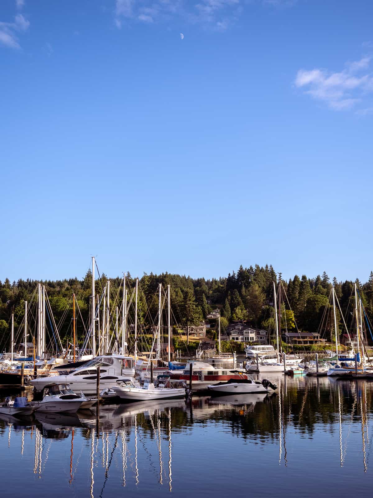 Sailboats moored in dock with glassy water