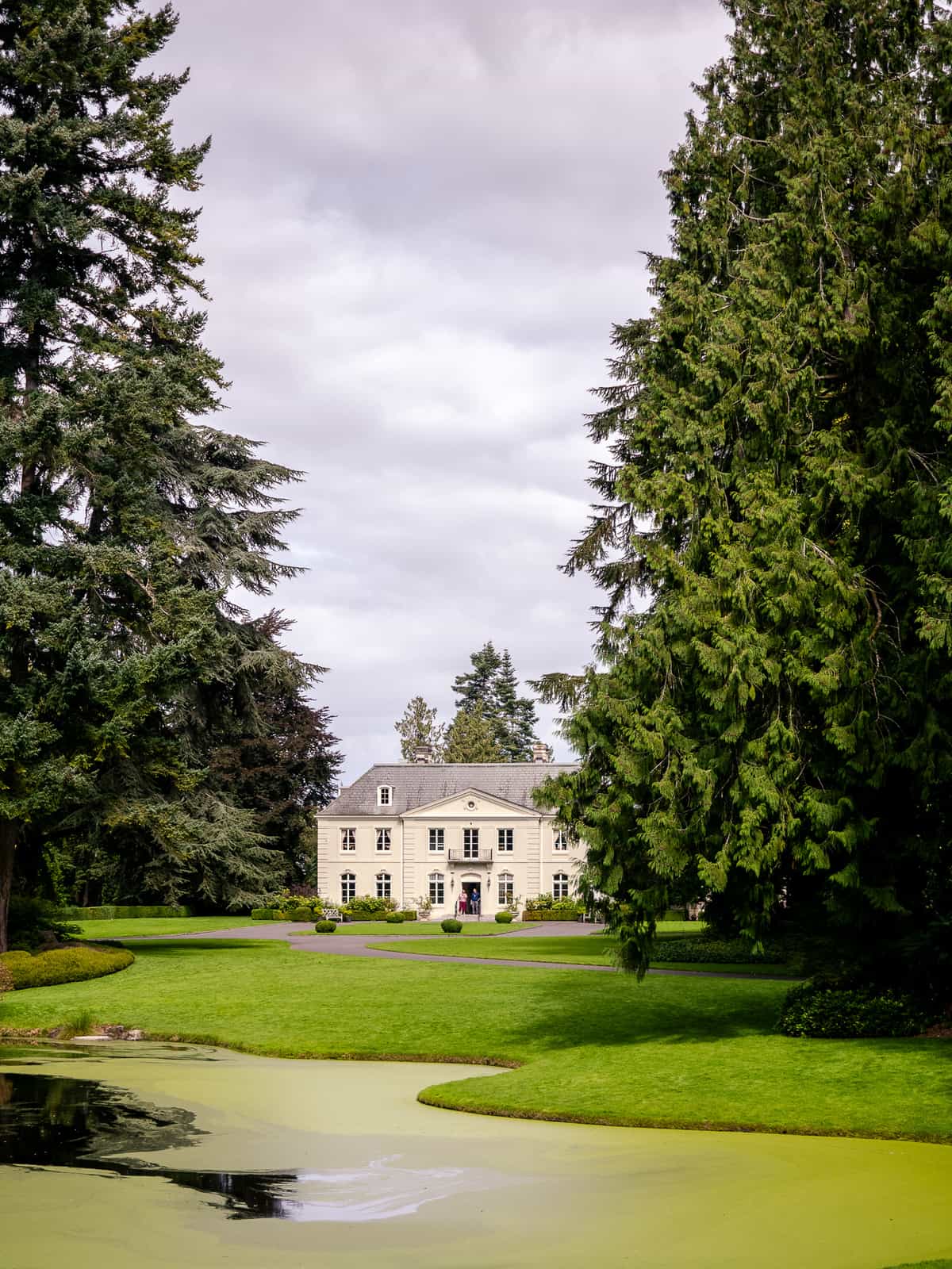 A colonial era house in the distance, with pine trees along the side.