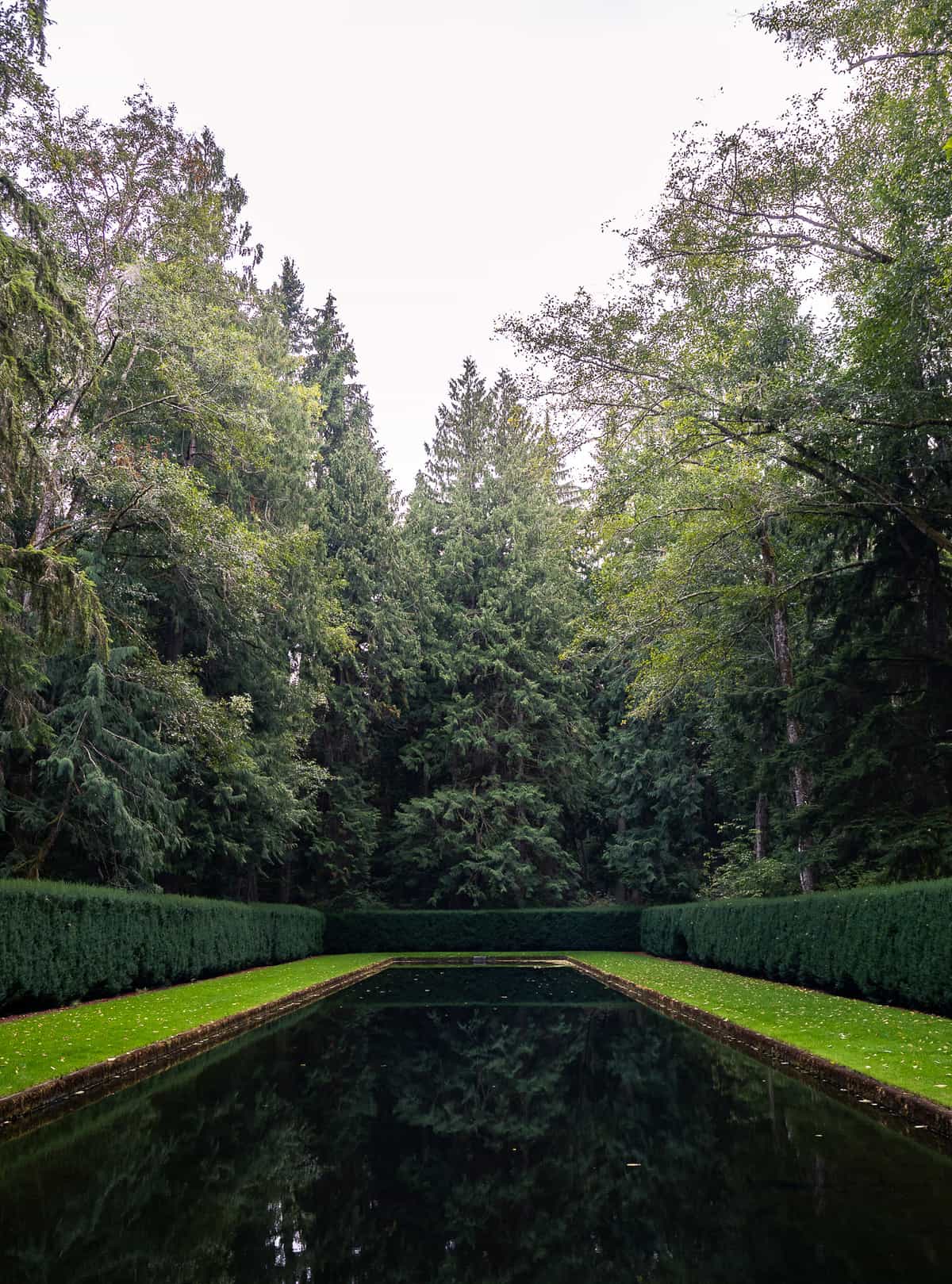 A hedge lines a still reflecting pool.