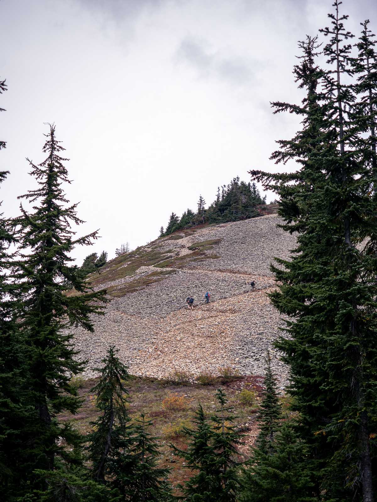 Hikers hike up switchbacks on at rocky mountain