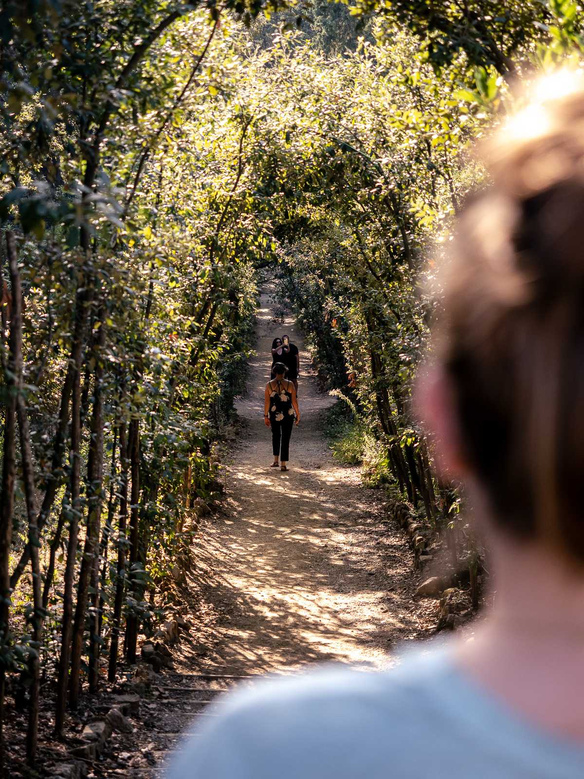 Looking over the should of a person, down a gravel pathway covered in arching bushes