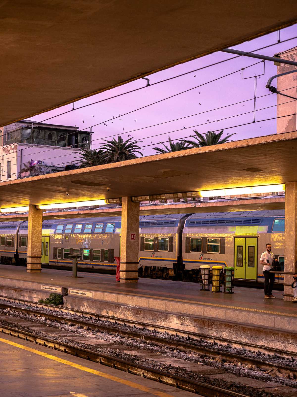 A man walks away from a train, with a purple-hued sunset sky showing palm trees and birds in the distance