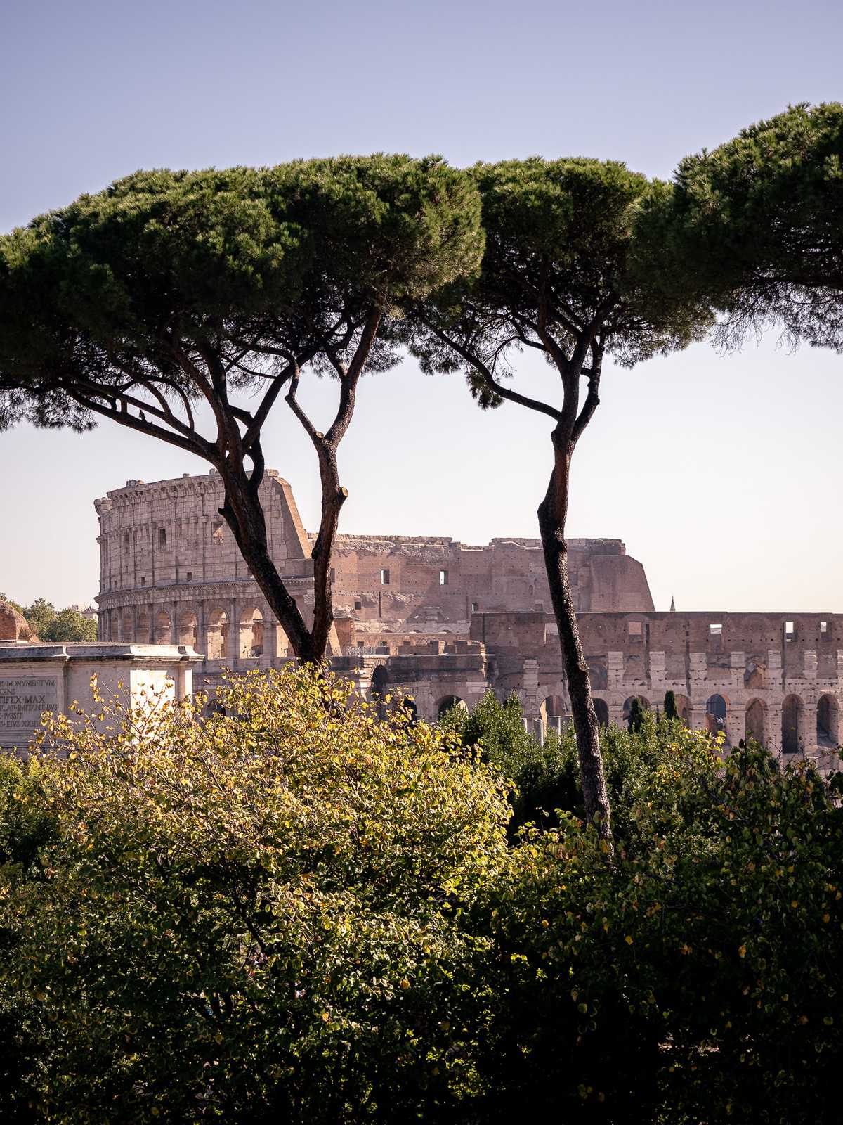 The coliseum in Rome, with trees and bushes in the foreground