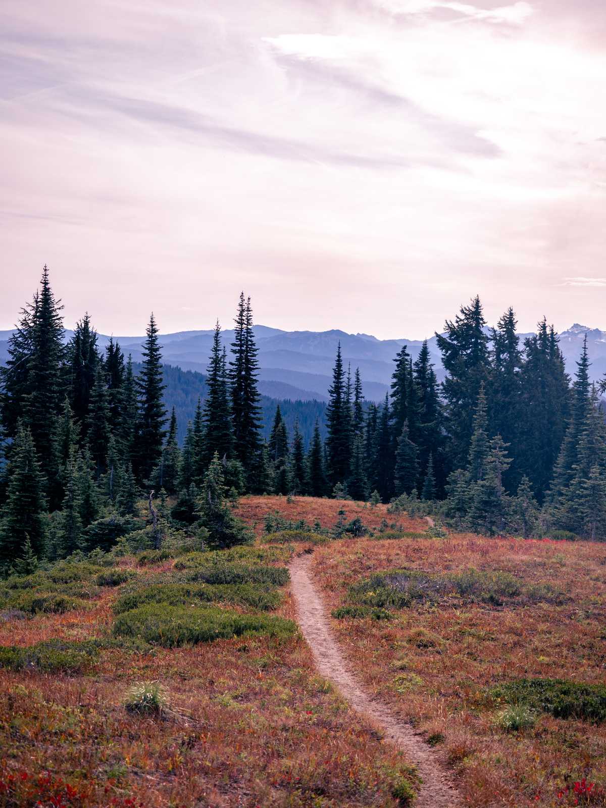 The hiking path going down a hill with layers of hazy mountains in the distance.