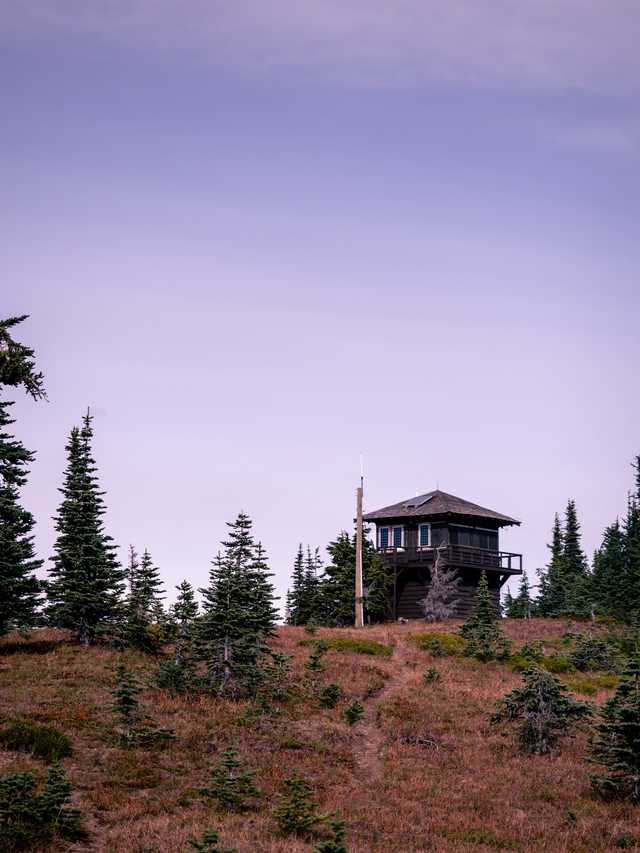 A fire lookout house on top of the hill, surrounded by pine trees and brown grass.