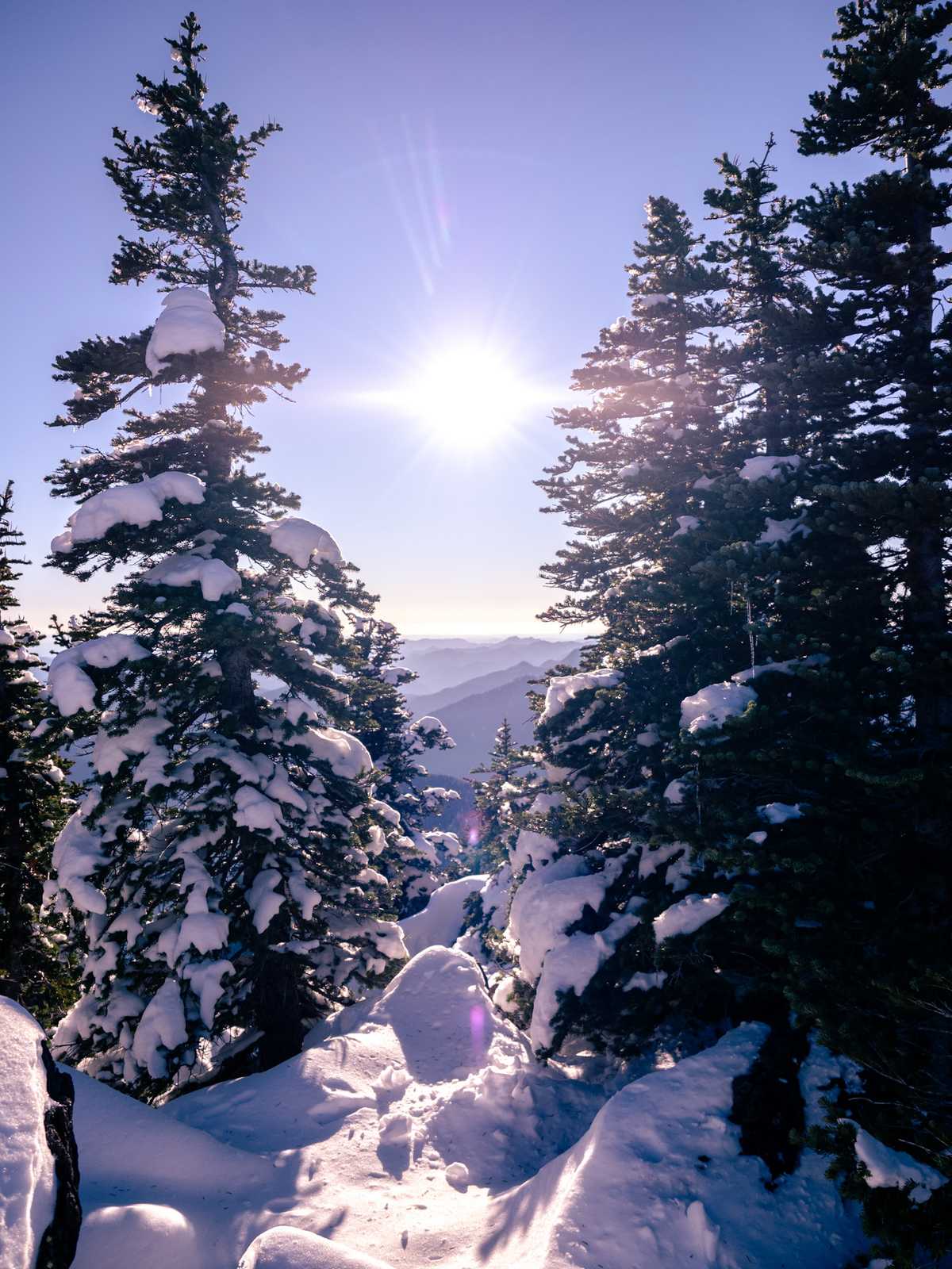 The sun showed brightly on pine trees and fresh snow with hazy ridges in the distance