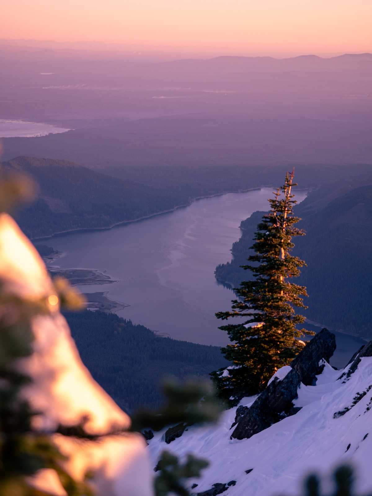 Sunset colors, ha in the distance, looking down at the lake with a pine tree in the foreground