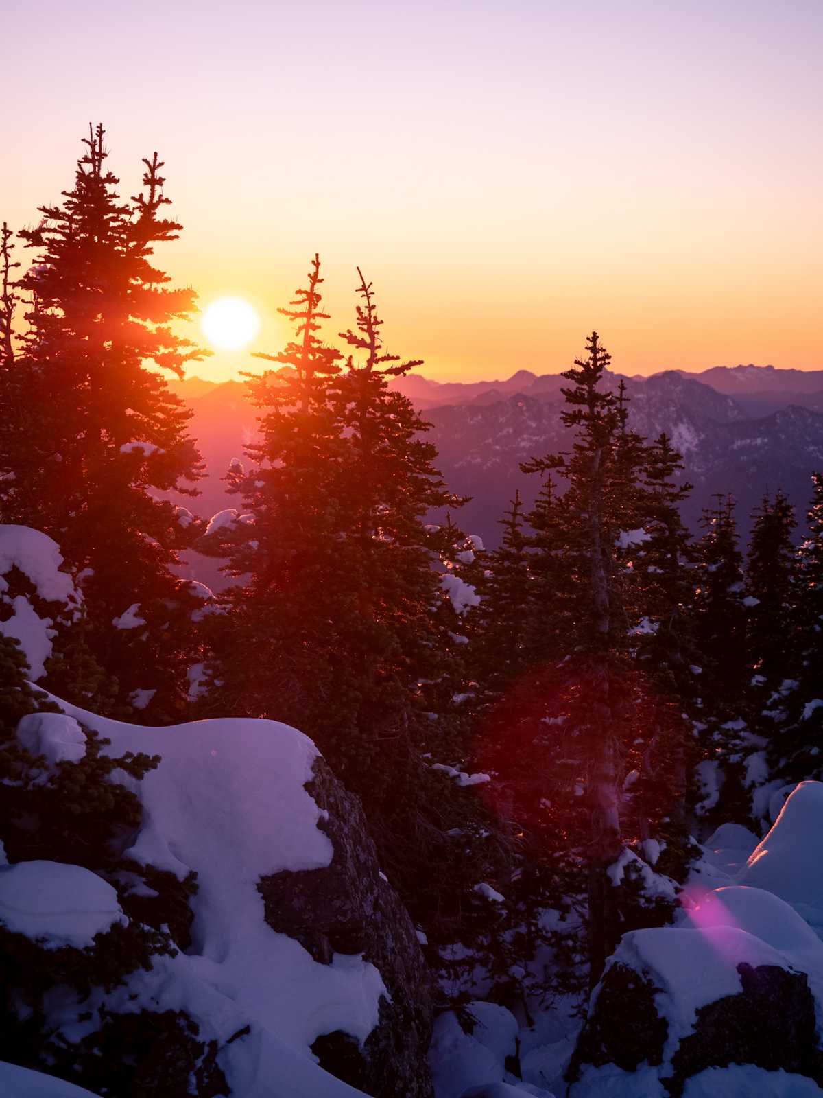 The camera looks into the sun, as it is just above the horizon of mountain ridges with pine trees in the foreground