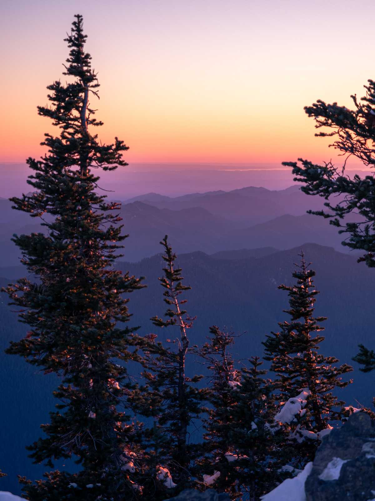 Layers of mountain ridges fade into the hazy sunset distance with pine trees in the foreground