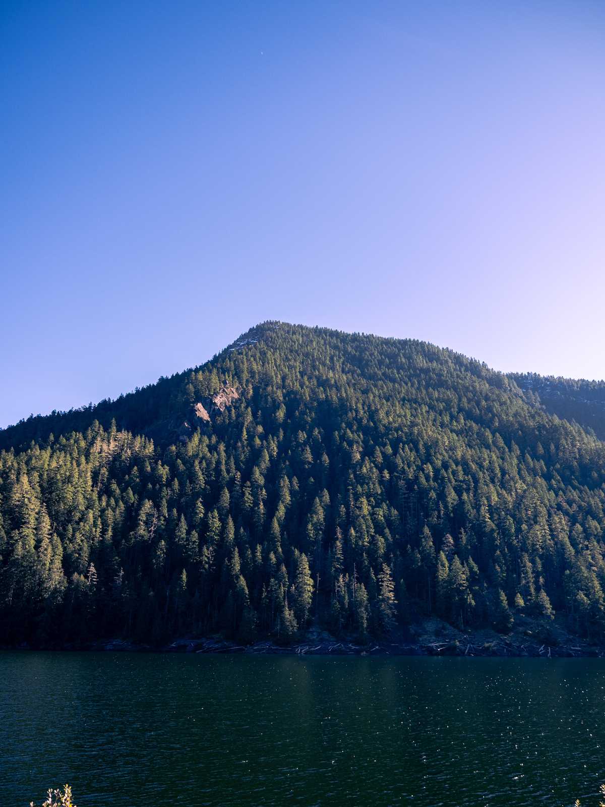 A pine tree covered mountain rises up out of a dark blue green lake