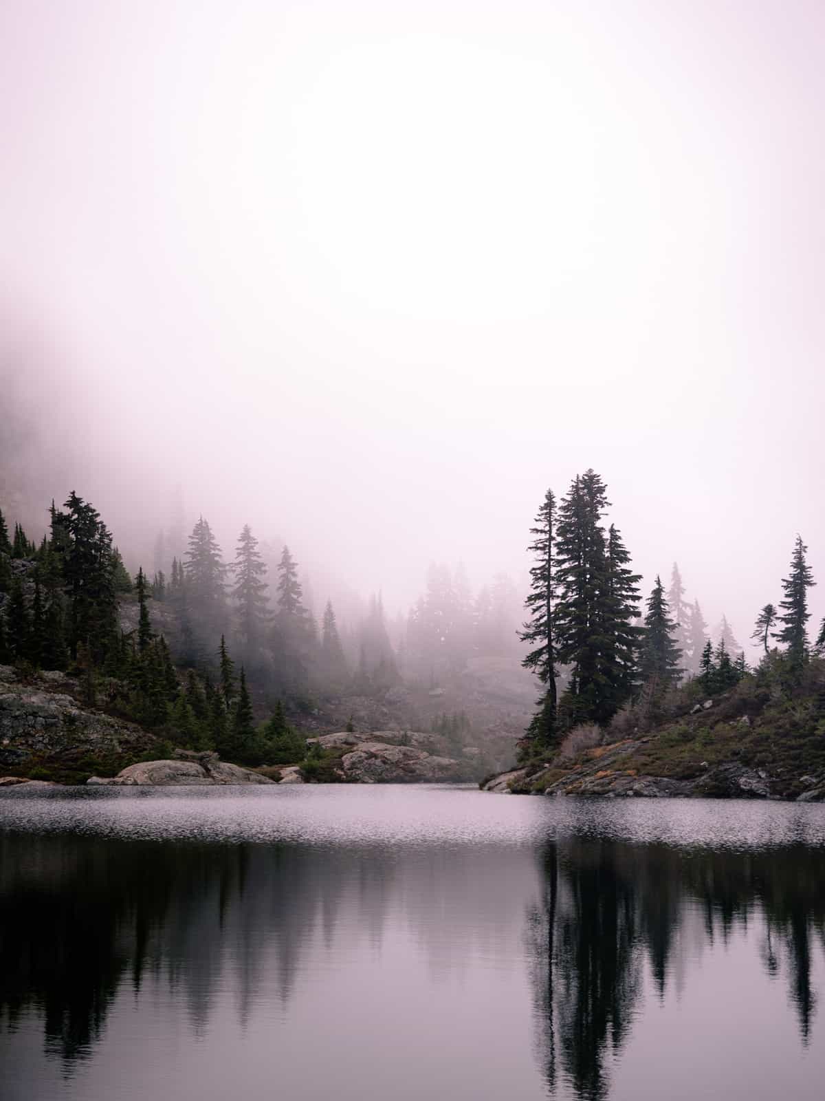 Pine trees faded into the fog on the opposite side of a rocky lake