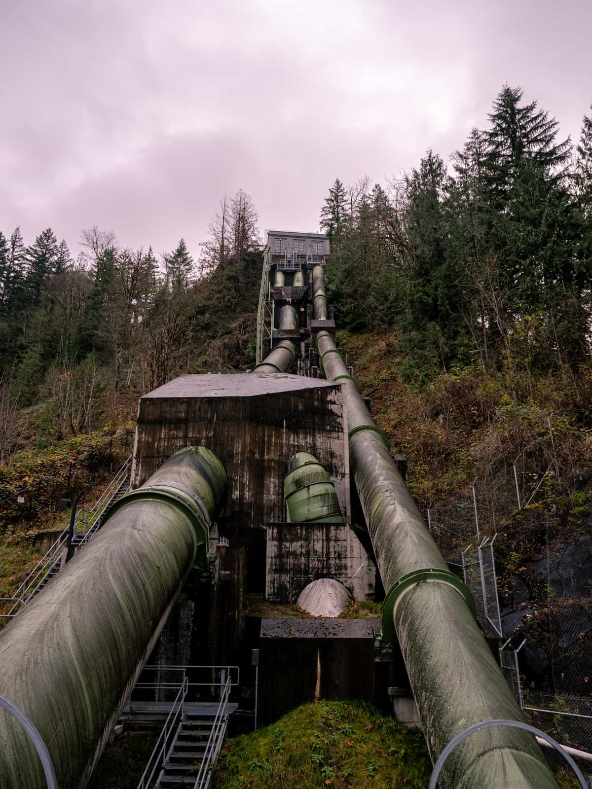 Water generator pipes extend up a pine tree covered hill