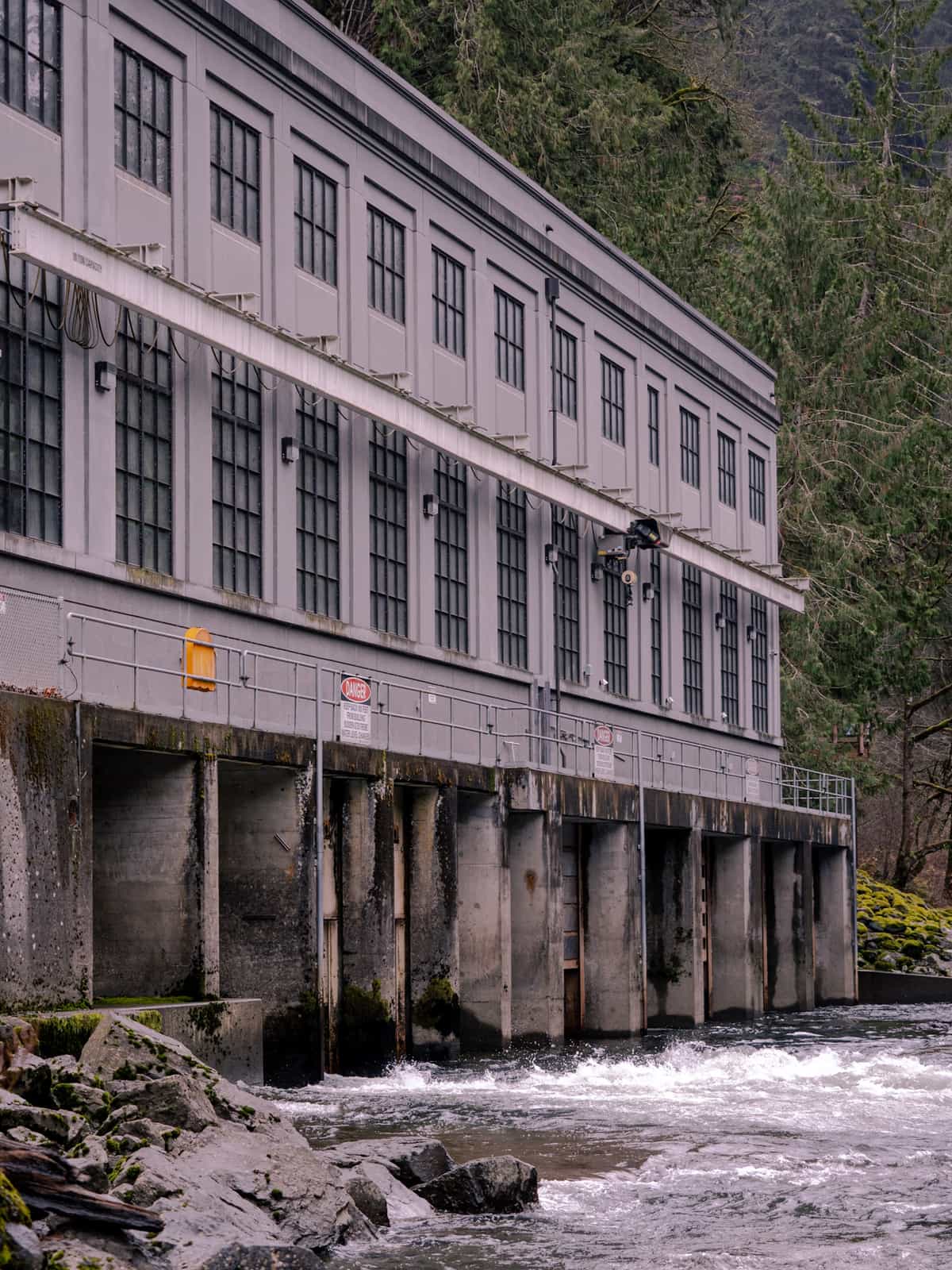 Industrial buildings surrounded by pine trees sits next to a flowing river