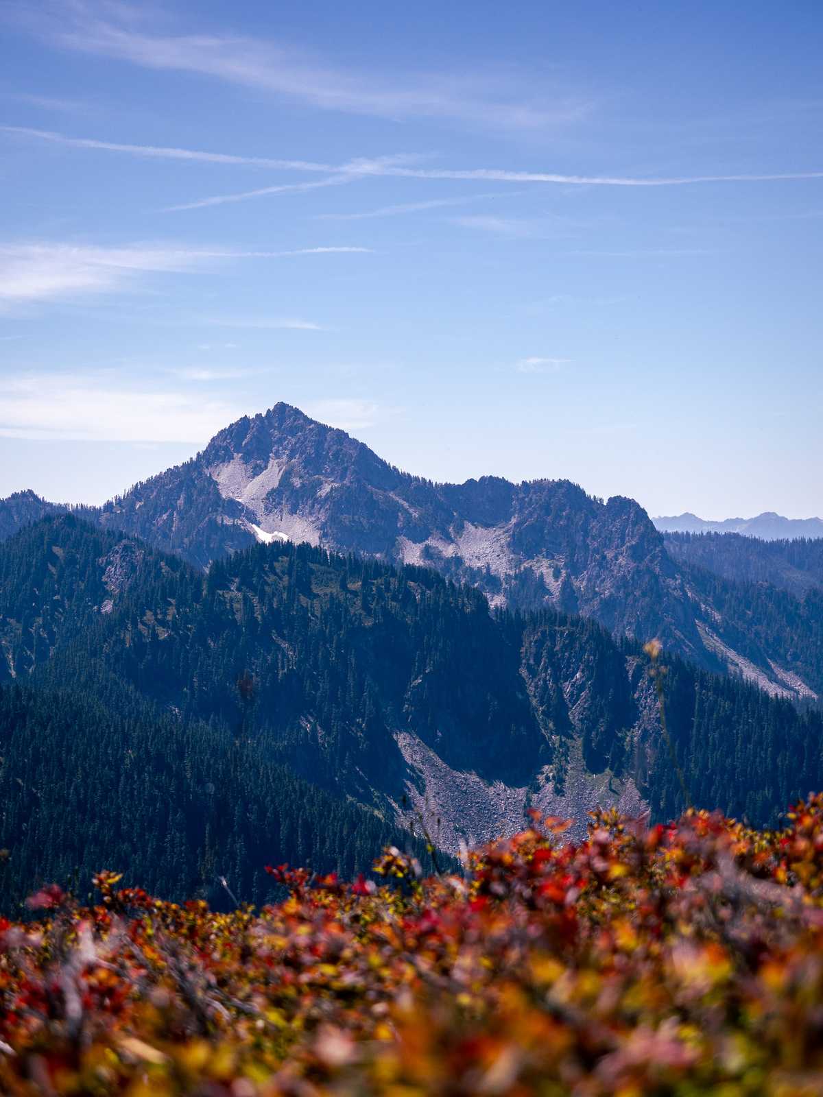 Mountain peaks in the distance with red under brush in the foreground on the bottom