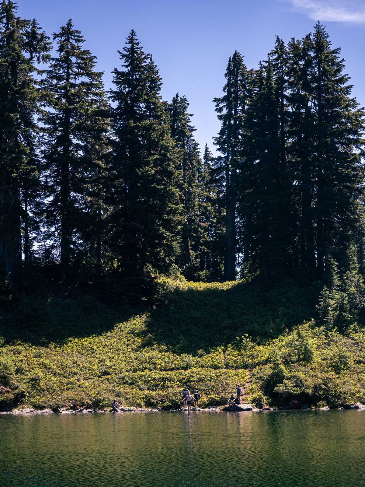 People wave from across a pond, with a ridge of tall pine trees behind them