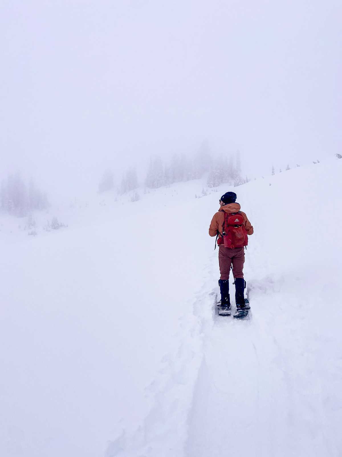 A person hikes with snowshoes through fog, with trees in the distance