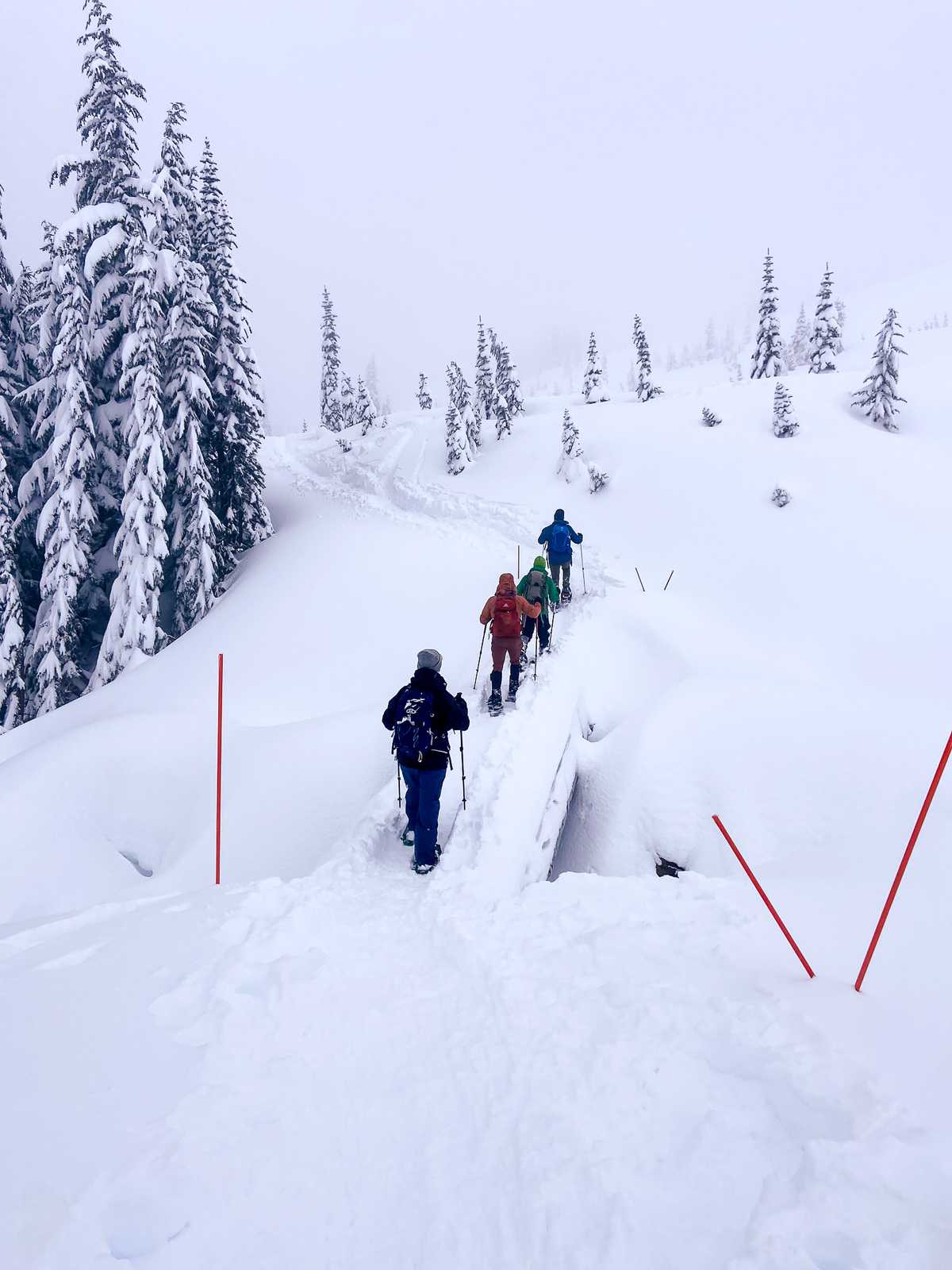 Four people, with different jacket colors, snowshoe across a bridge in the snow