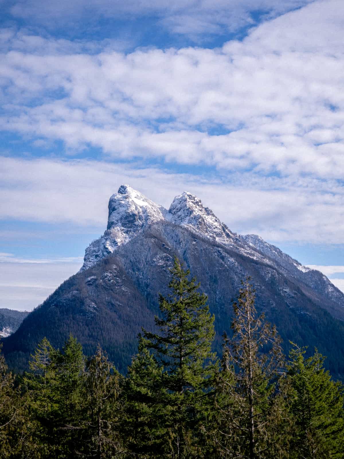 Snowy mountain peaks reach into the sky, with pine trees in the foreground