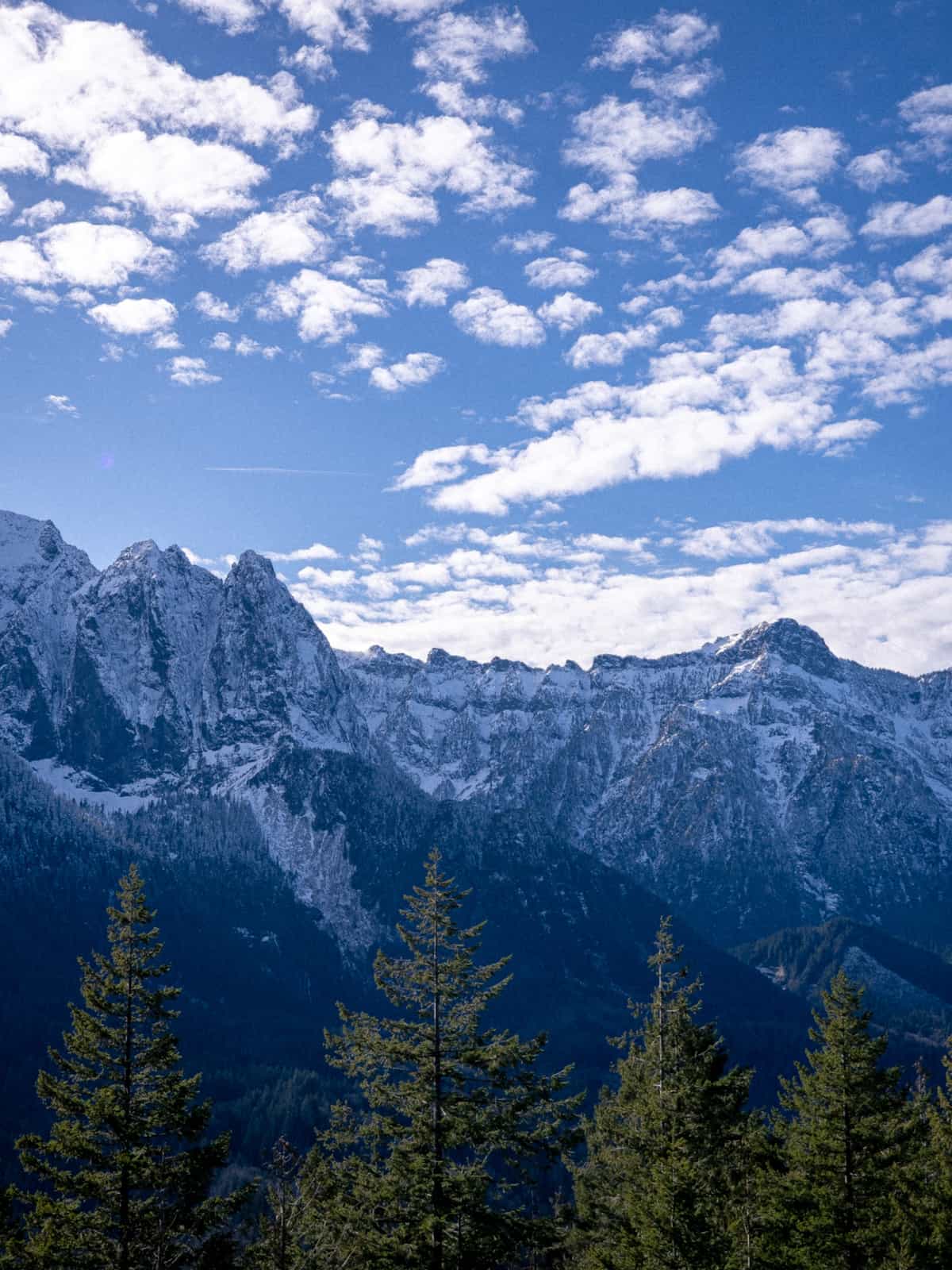 Snowy ridgelines in the distance glow blue, with pine trees in the foreground