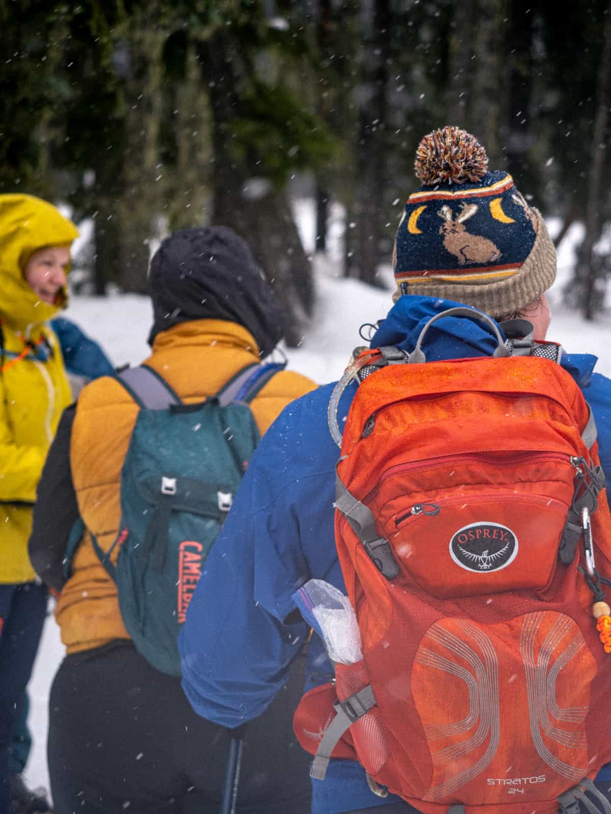 In a snowy winter scene, three snowshoers carry backpacks and talk together