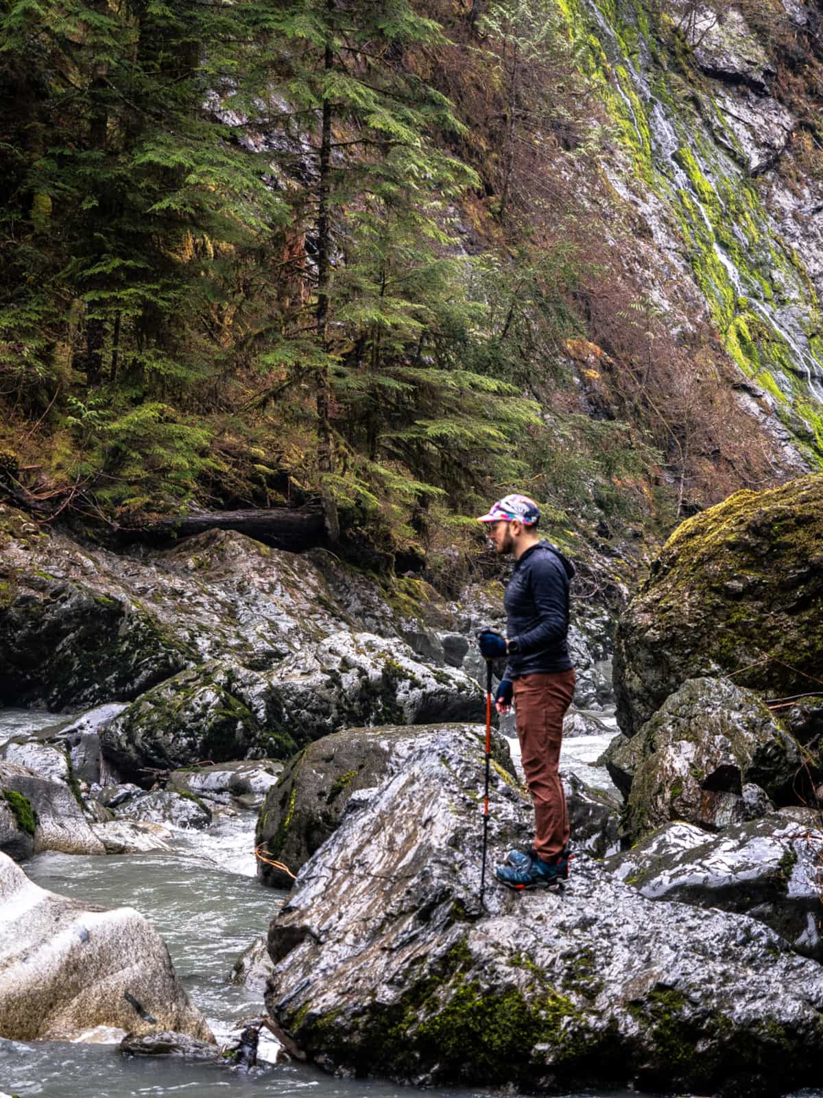 A hiker holding a trekking pole stands on a rock, looking out over a river in the forest