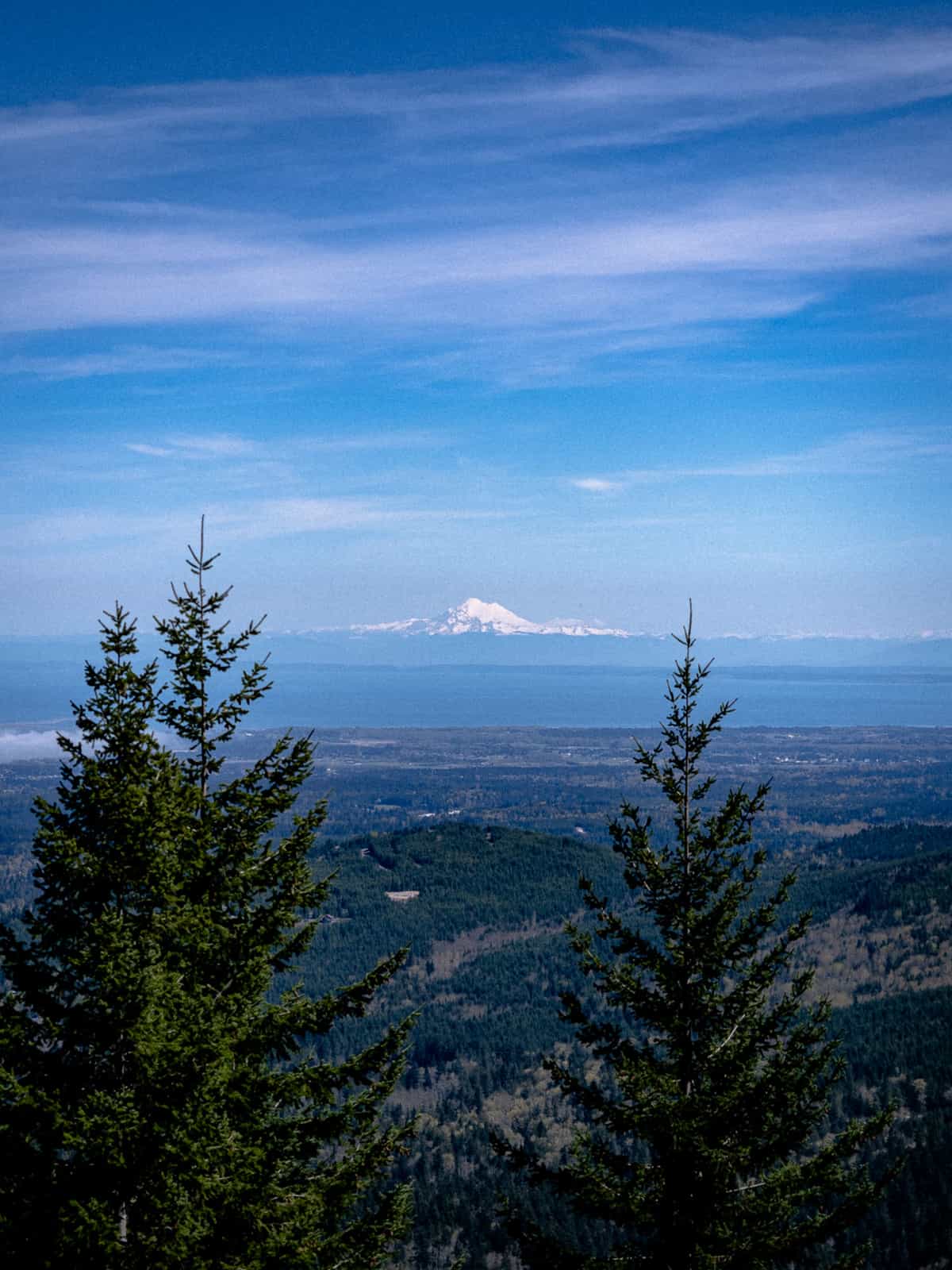 Mount banker shines in the distance, covered in snow with pine trees, visible in the foreground