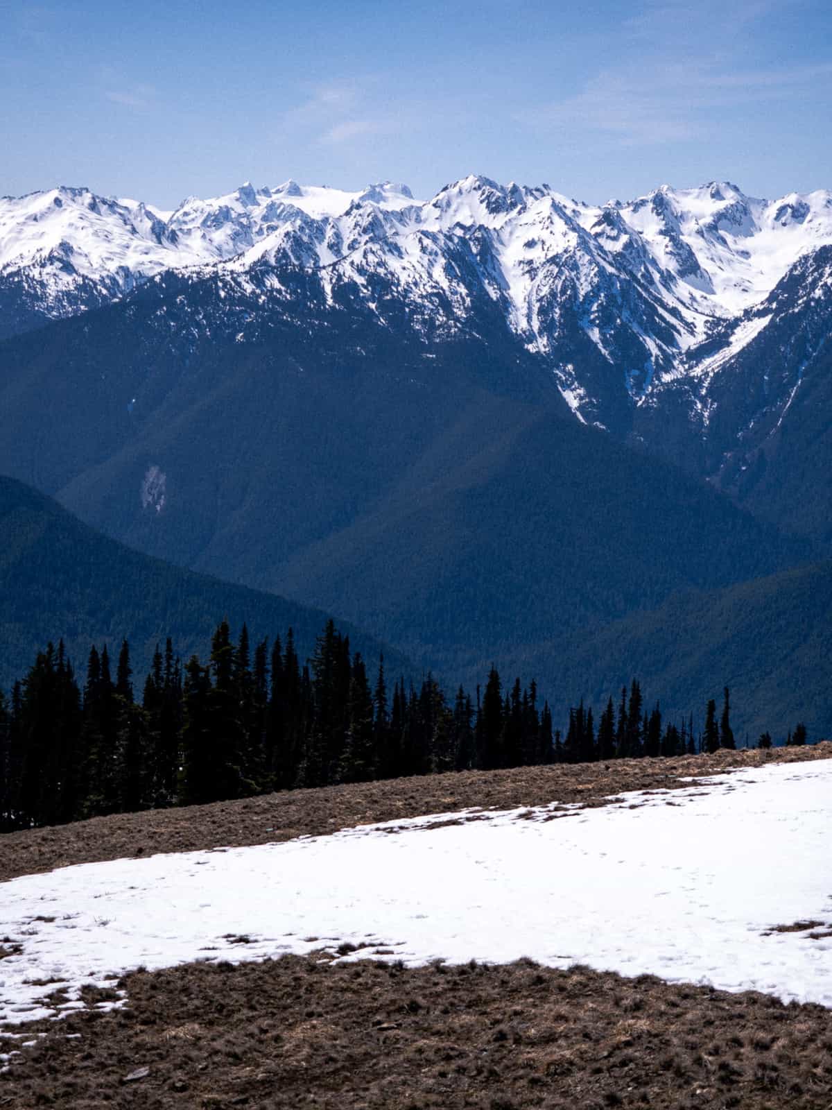 Snow covered mountain ridges span in the distance with pine trees and snow-covered grass in the foreground