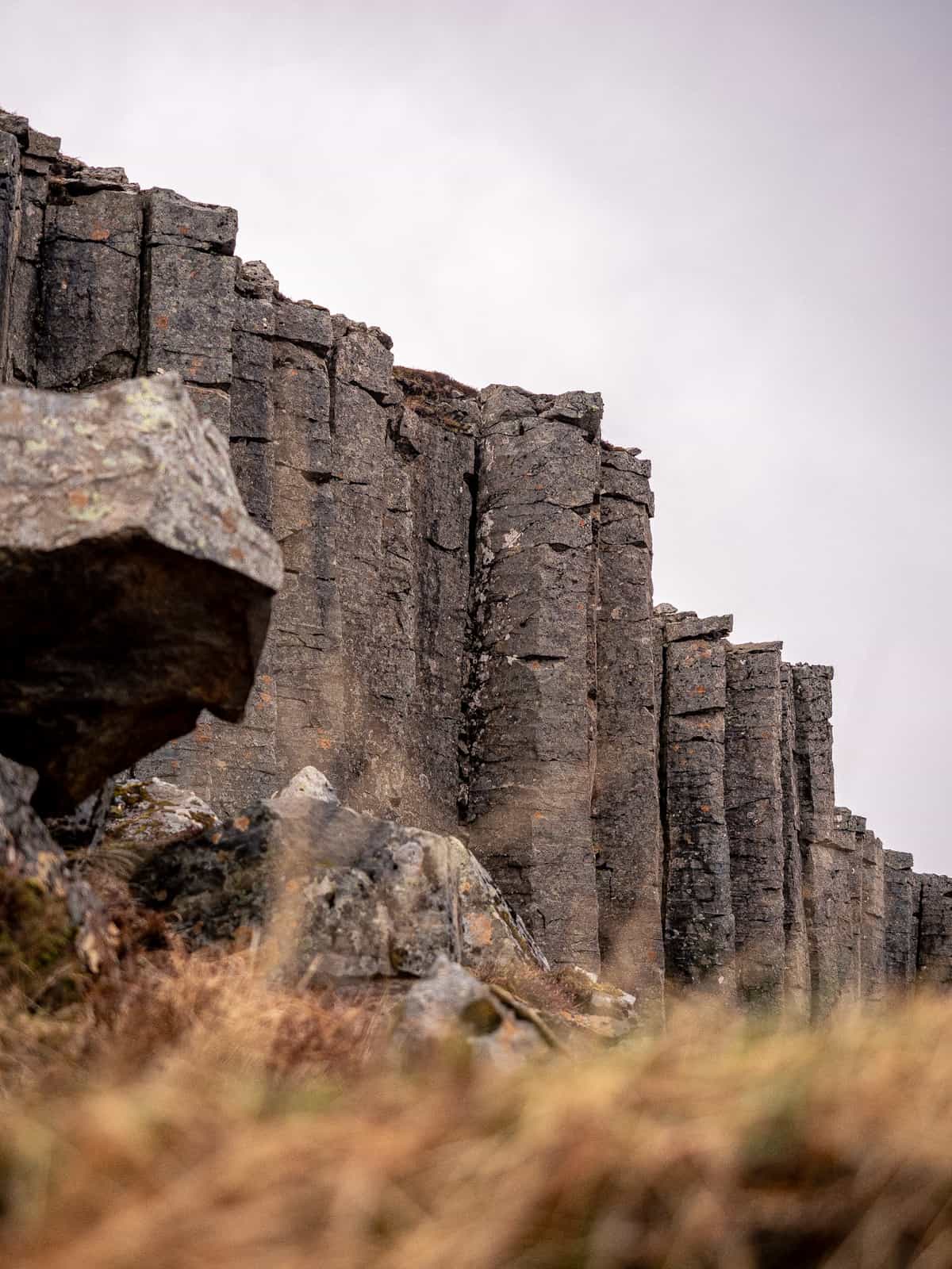 Hexagonal columns of rock extend out of the ground, with blurry dead grass in the foreground.