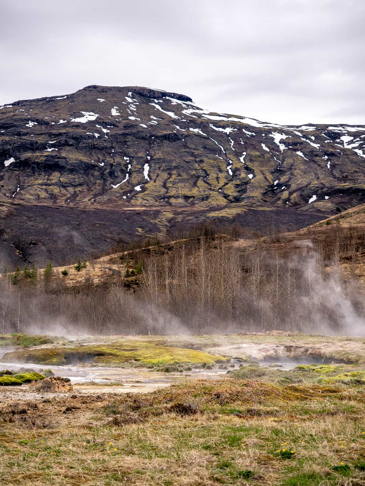 Steam rises from geothermal puddles, with a large snow capped hill in the distance