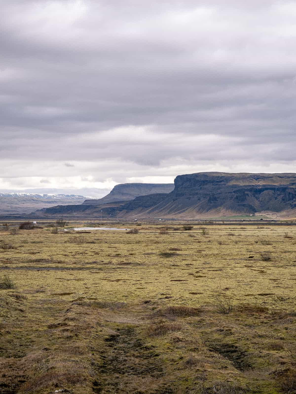 Flat-topped mountains rise from golden plains