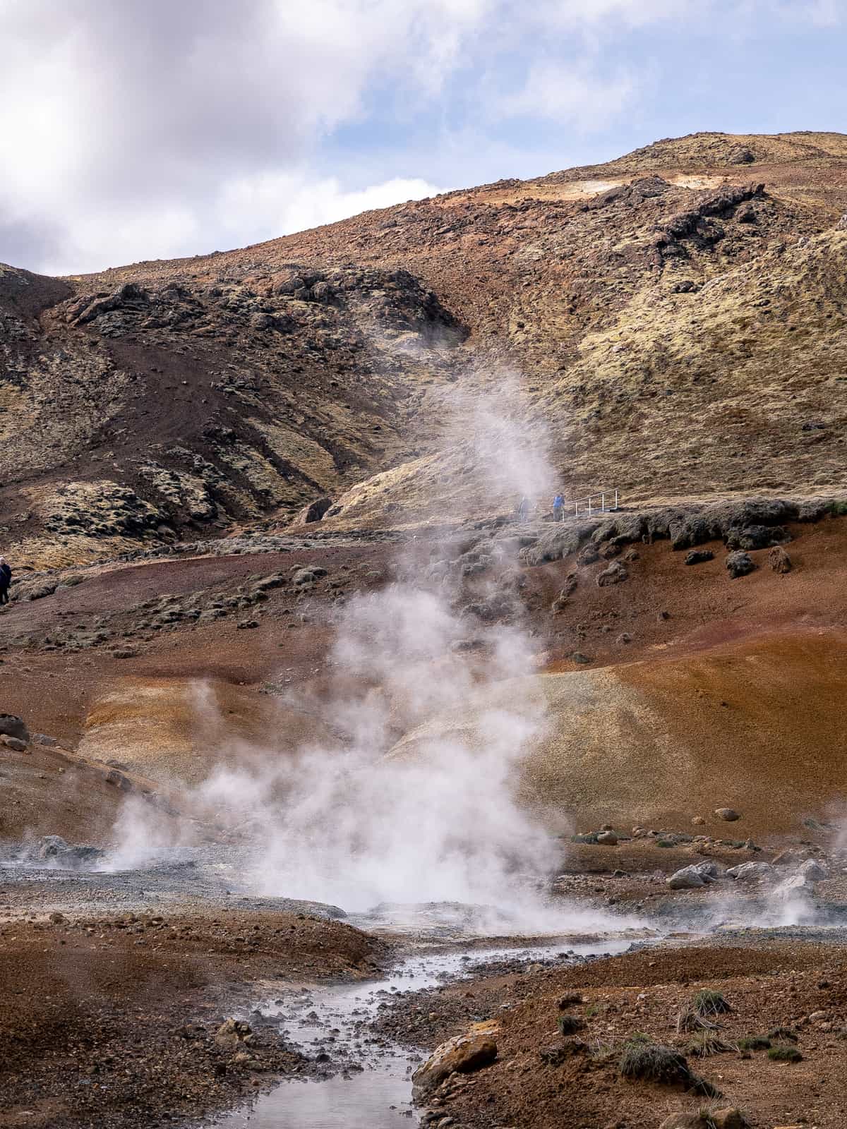 Steam rises from geothermal pools, with a barren hillside behind