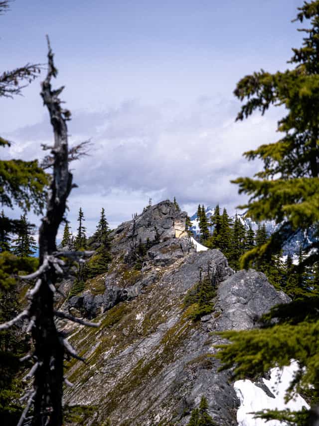 A moss covered Rocky Ridgeline extends into the distance surrounded by pine trees