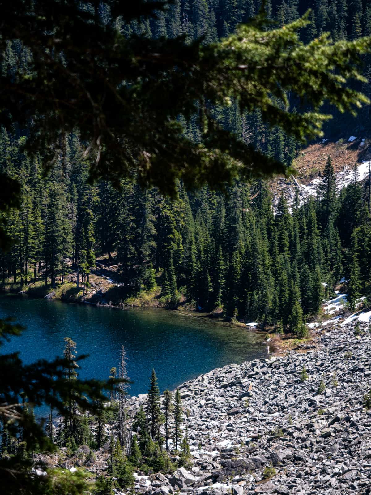 Pine tree in the foreground slightly obscure the view of the edge of a lake with its shore, split between pine trees and a rock field