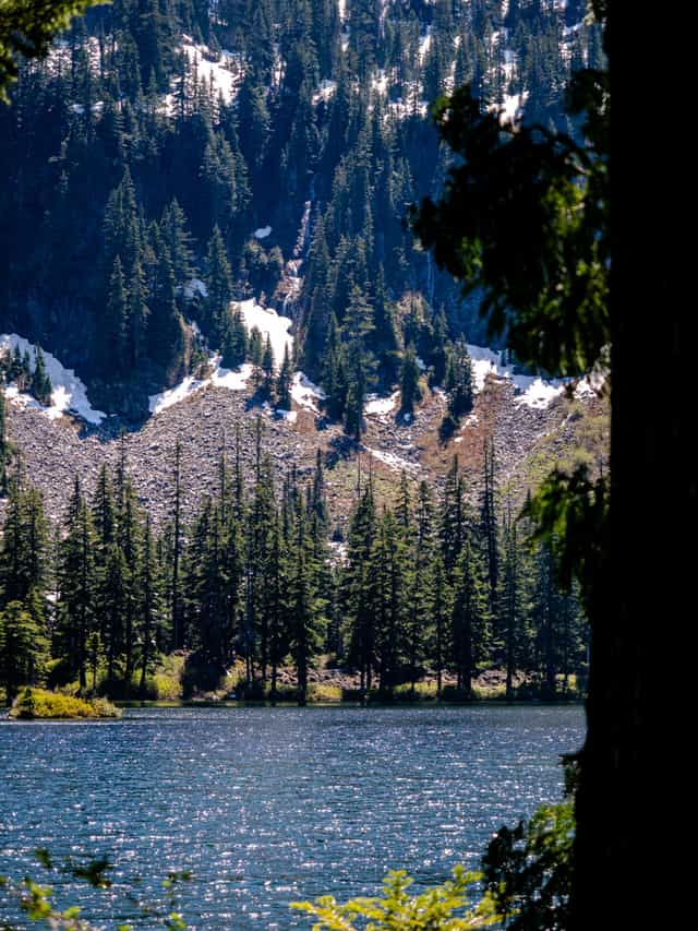 Looking across the lake at Pine trees going up a steep snow-covered mountainside