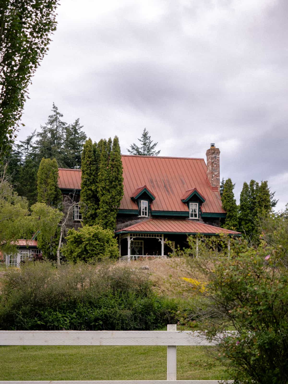 A house with a red tin roof and covered patio sits among bushes and trees with a grass lawn in front of it